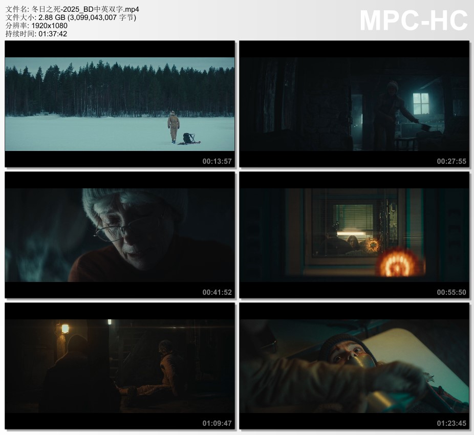 2025年美国动作惊悚片《冬日之死》BD中英双字