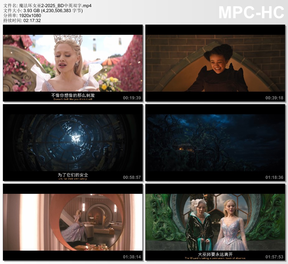 2025年美国爱情片《魔法坏女巫2》BD中英双字