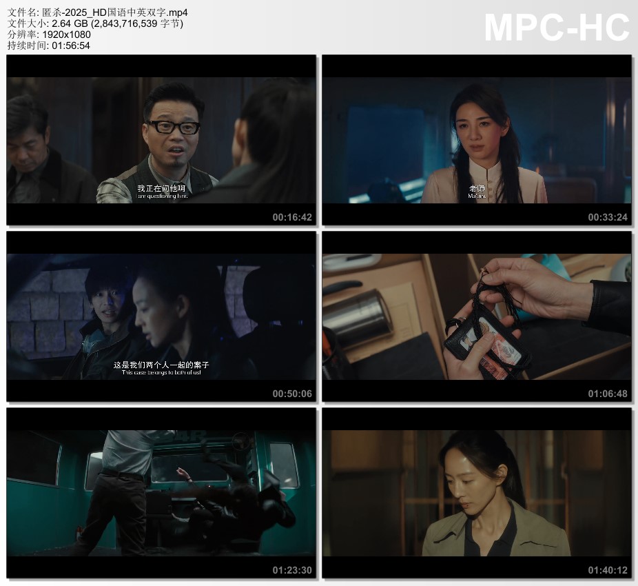 2025年国产悬疑片《匿杀》HD国语中英双字