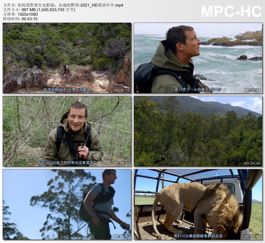 2021年美国冒险片《你的荒野求生电影版:出逃的野兽》HD英语中字