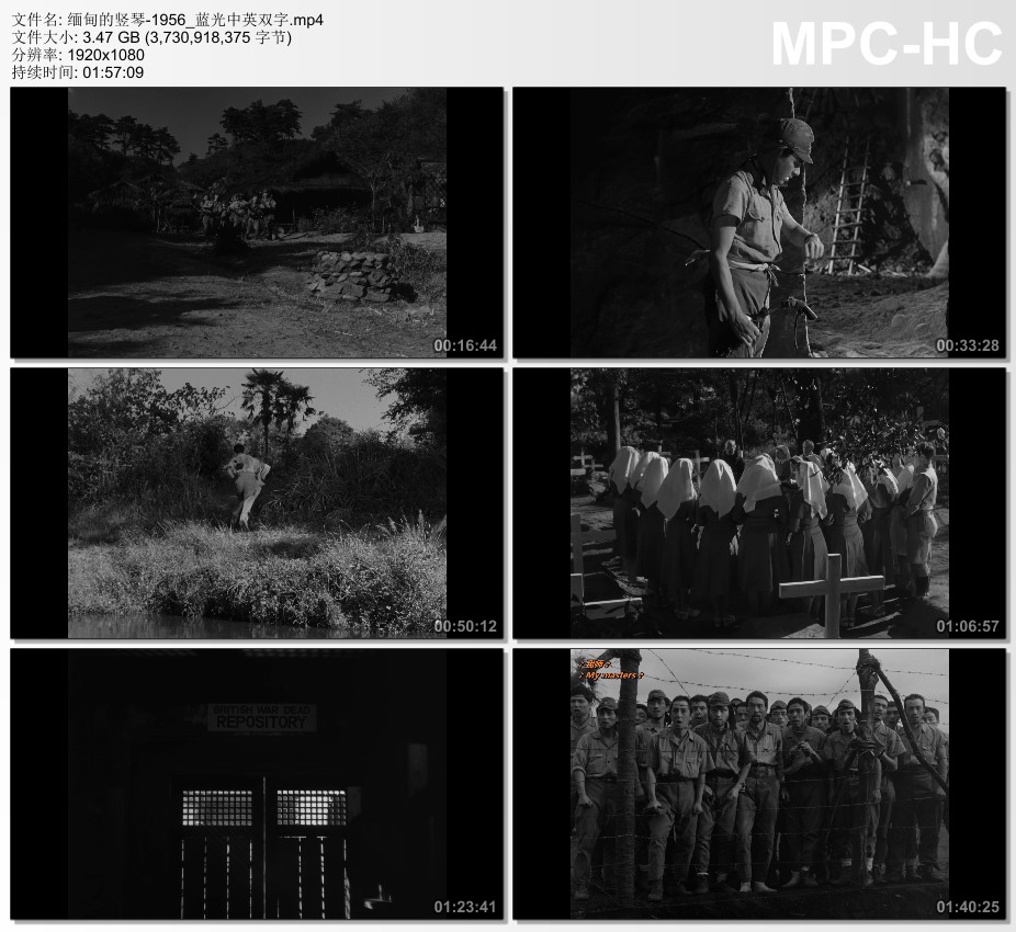 1956年日本经典战争片《缅甸的竖琴》蓝光中英双字