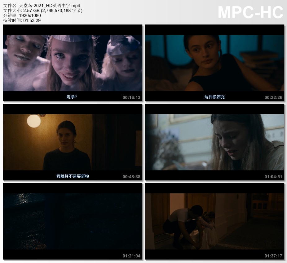 2021年美国爱情片《天堂鸟》HD英语中字