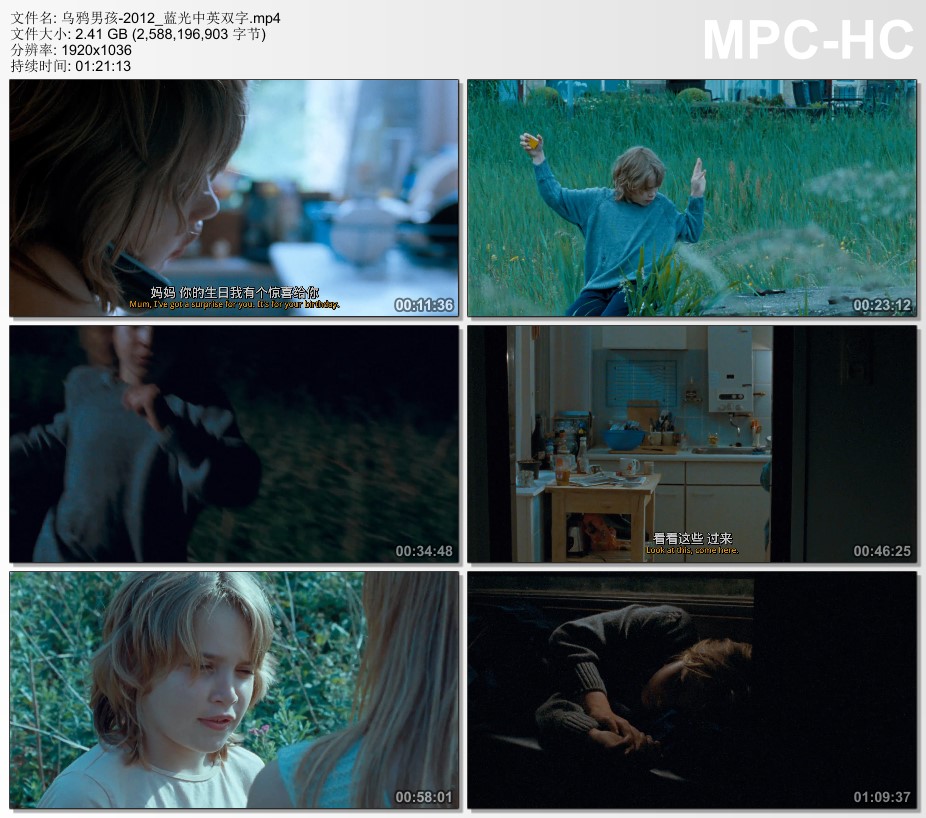 2012年荷兰经典剧情片《乌鸦男孩》蓝光中英双字