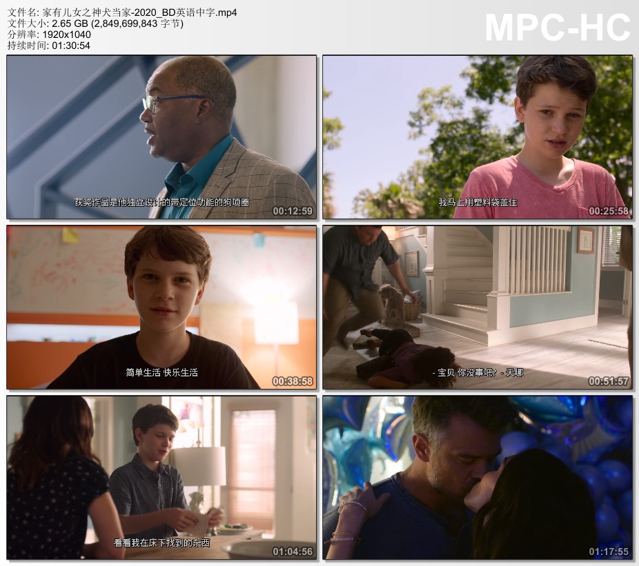 2020年国产喜剧片《家有儿女之神犬当家》BD英语中字