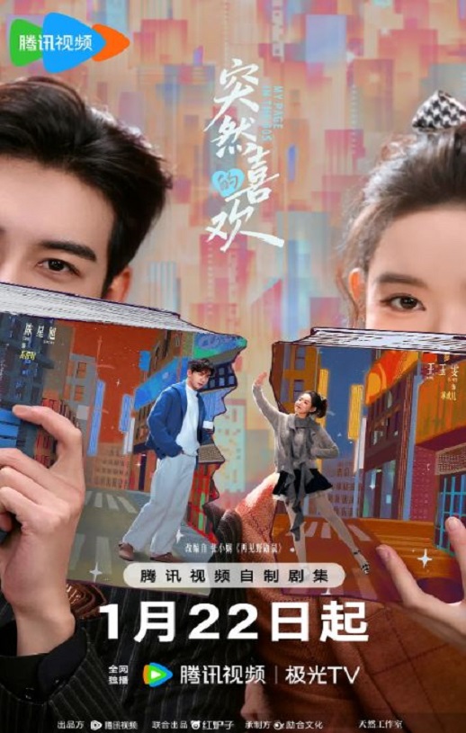 2026年国产大陆电视剧《突然的喜欢》全24集