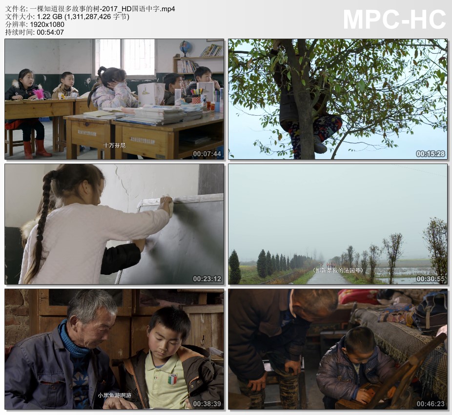 2017年国产电影《一棵知道很多故事的树》 HD国语中字