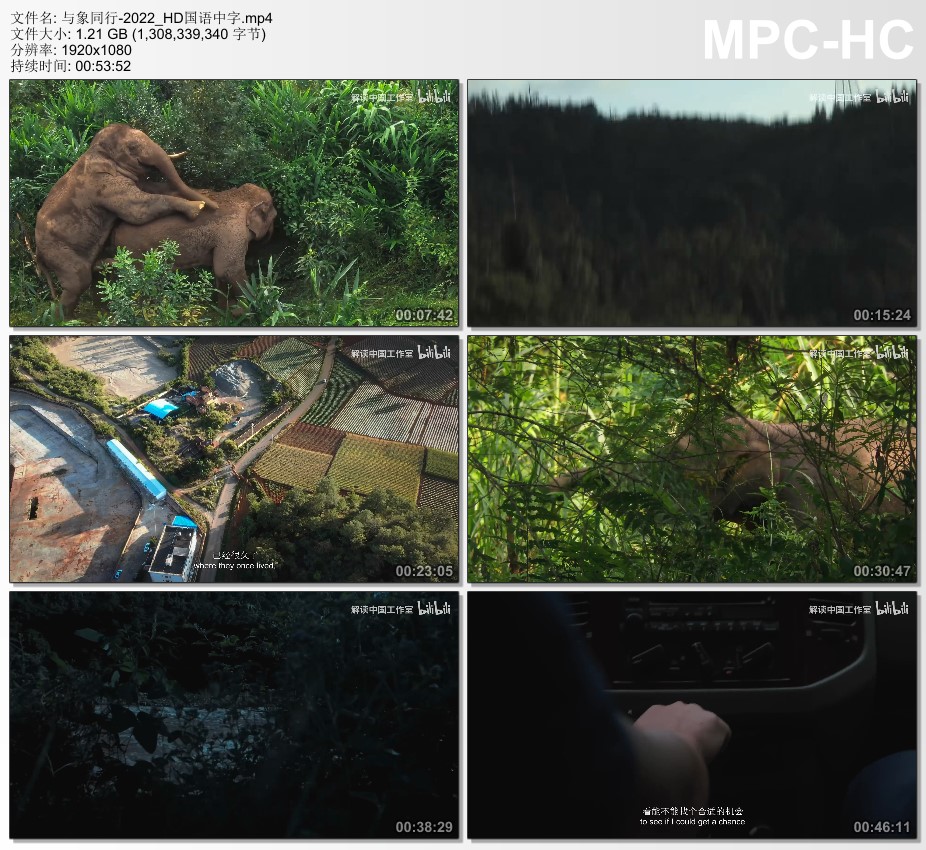 2022年国产纪录片《与象同行》 连载至HD国语中字