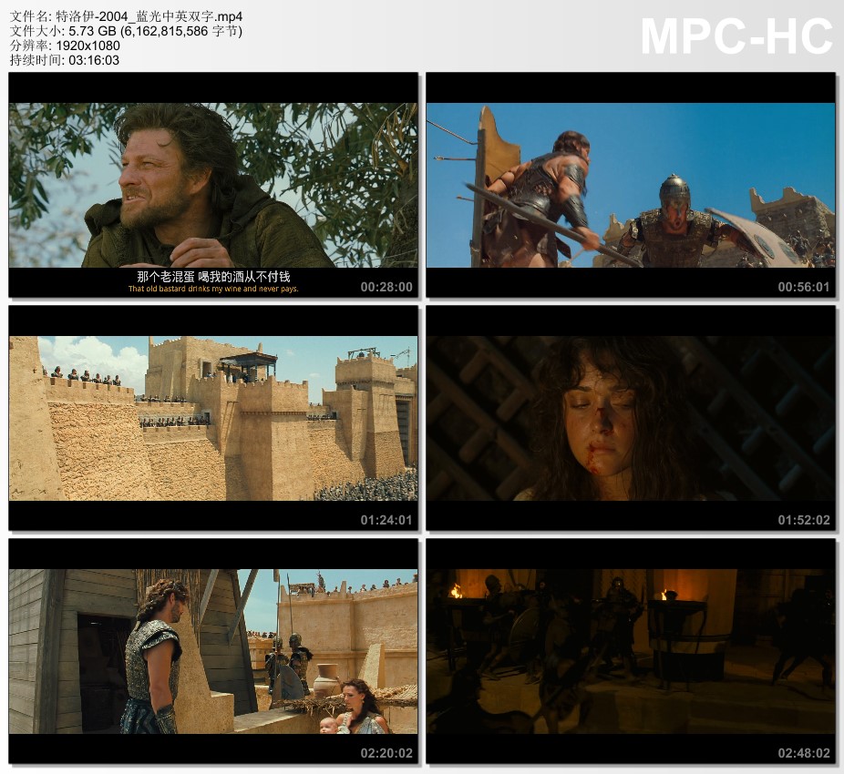 2004年美国经典动作片《特洛伊》蓝光中英双字