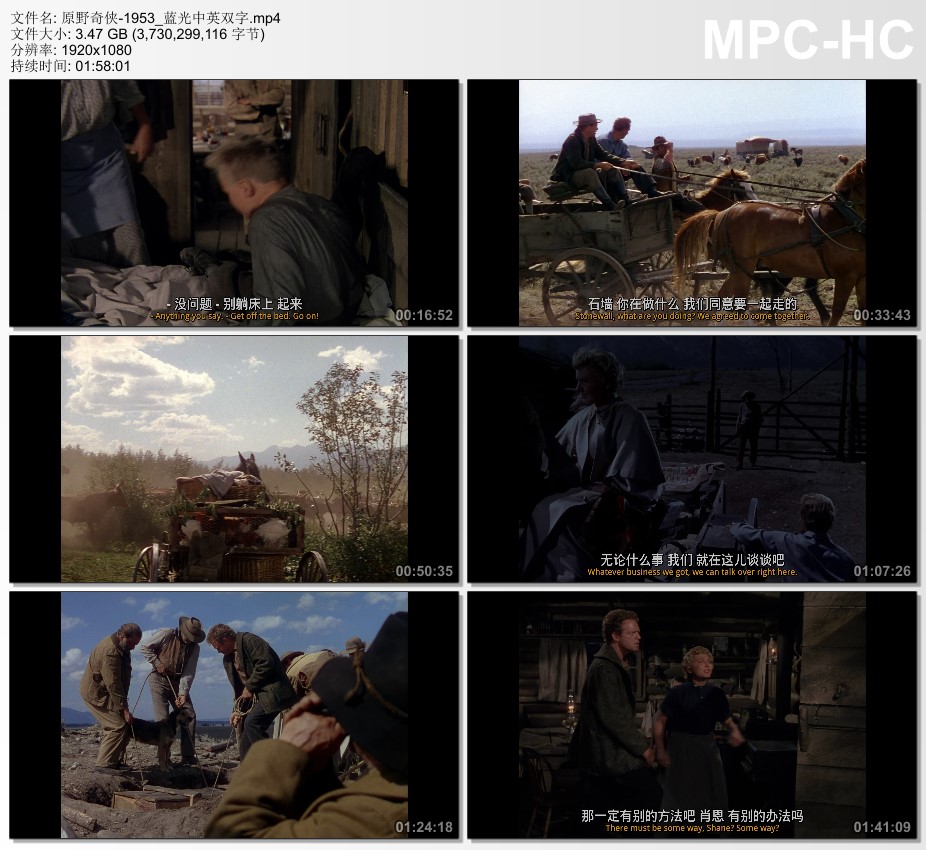 1953年美国电影《原野奇侠》蓝光中英双字