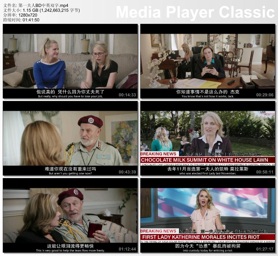 2020年欧美爱情喜剧片《第一夫人》BD中英双字