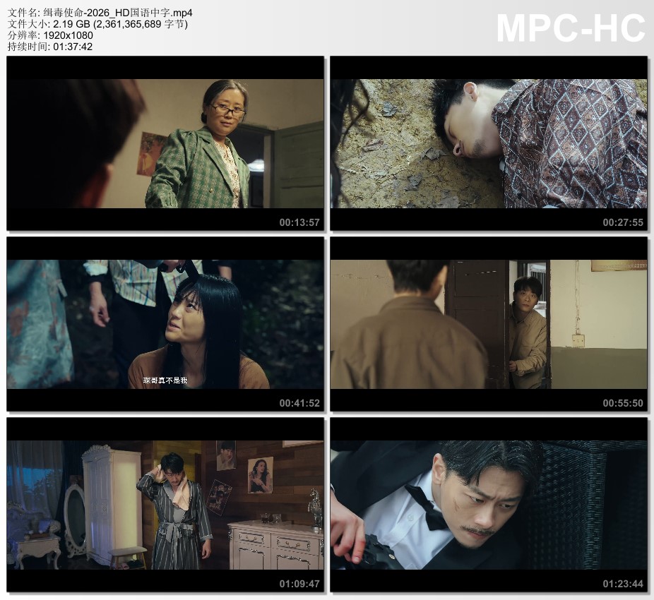 2026年国产动作片《缉毒使命》HD国语中字