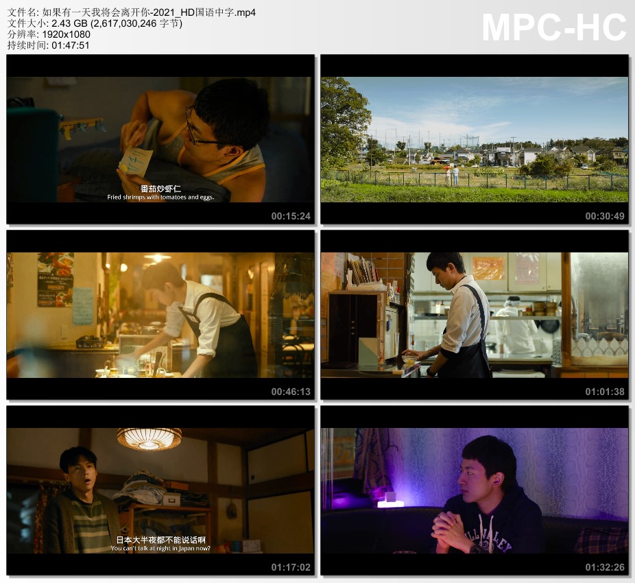 2021年国产电影《如果有一天我将会离开你》HD国语中字