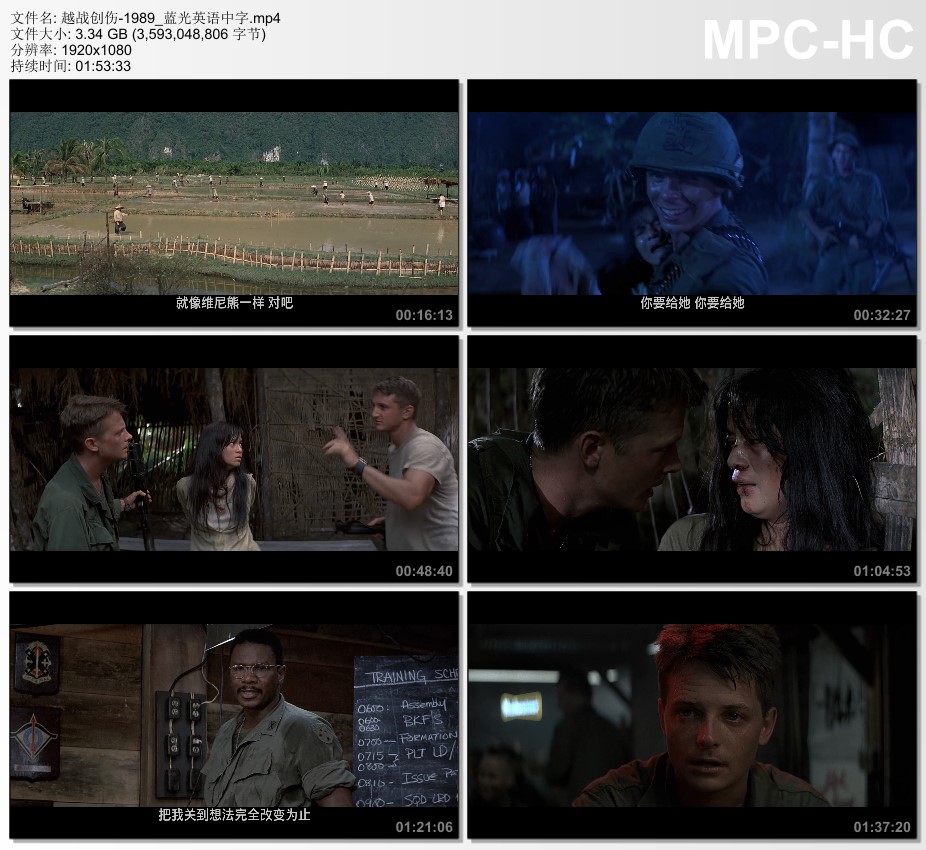 1989年美国电影《越战创伤》蓝光英语中字