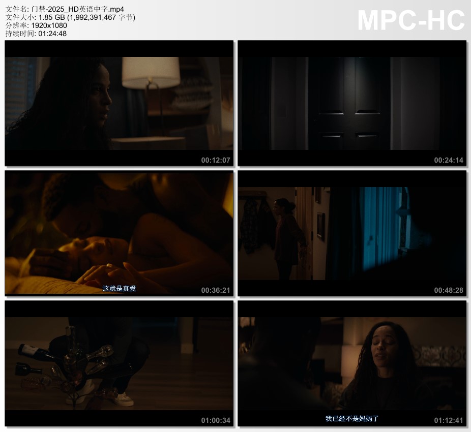 2025年美国恐怖片《门禁》HD英语中字