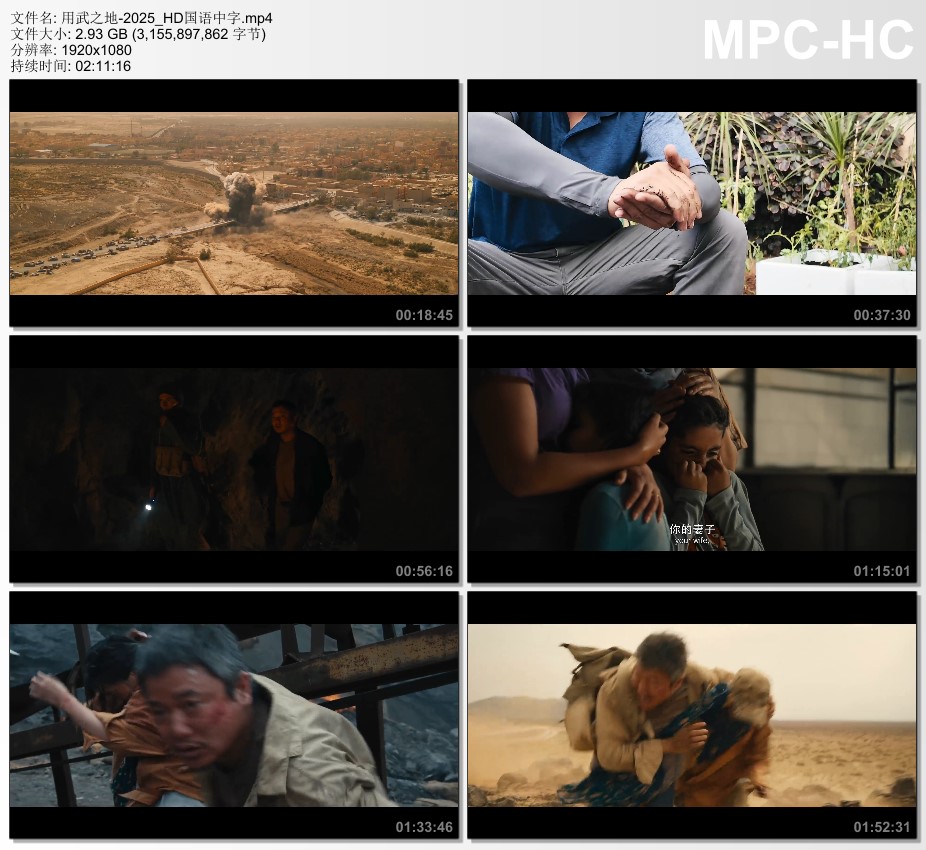 2025年国产7.4分动作片《用武之地》HD国语中字