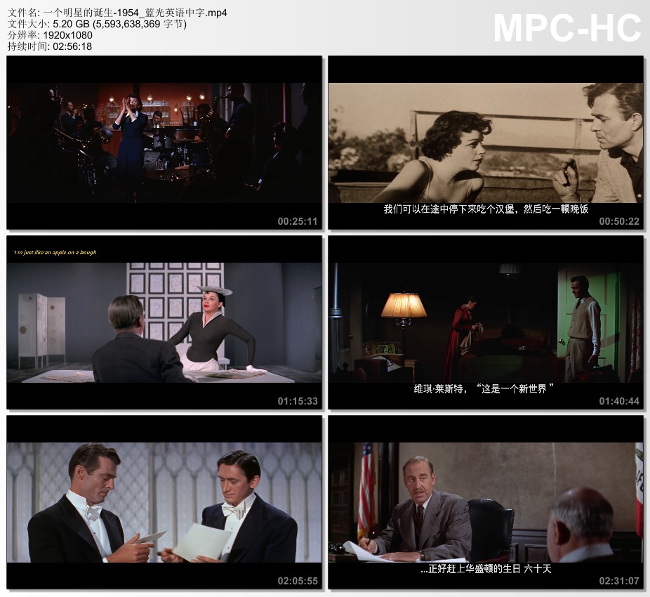1954年美国电影《一个明星的诞生》蓝光英语中字