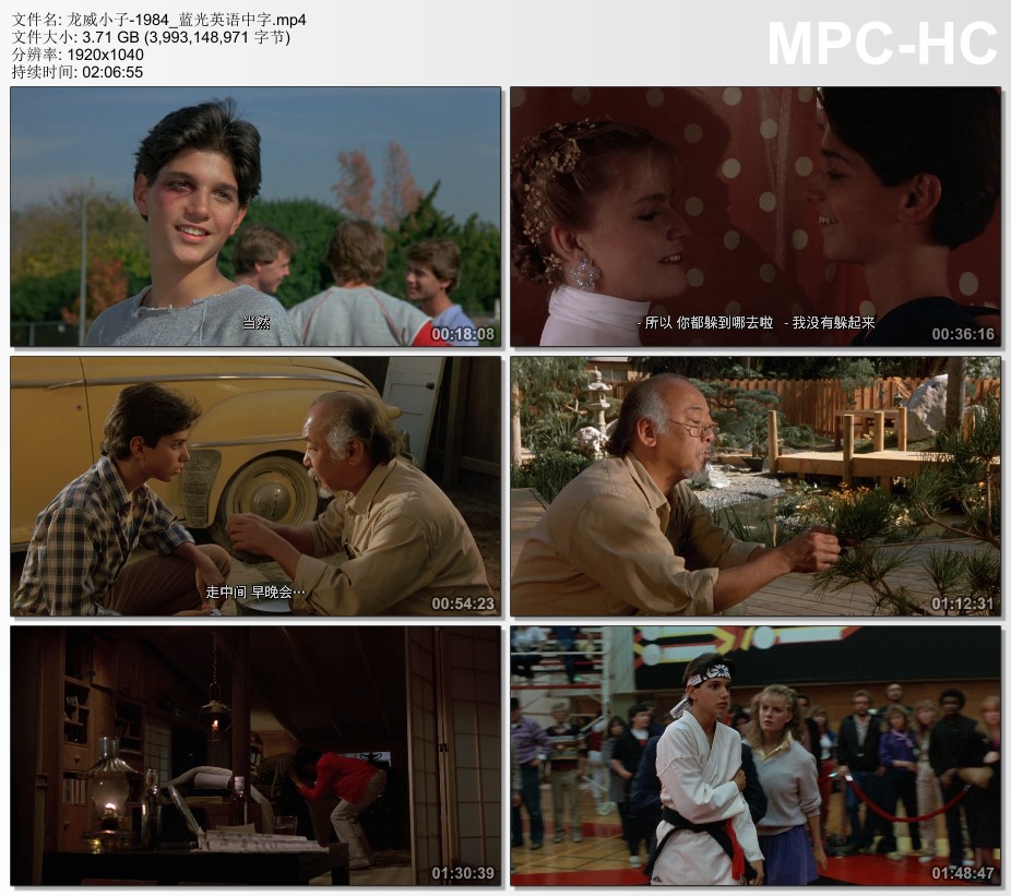 1984年美国经典剧情片《龙威小子》蓝光英语中字