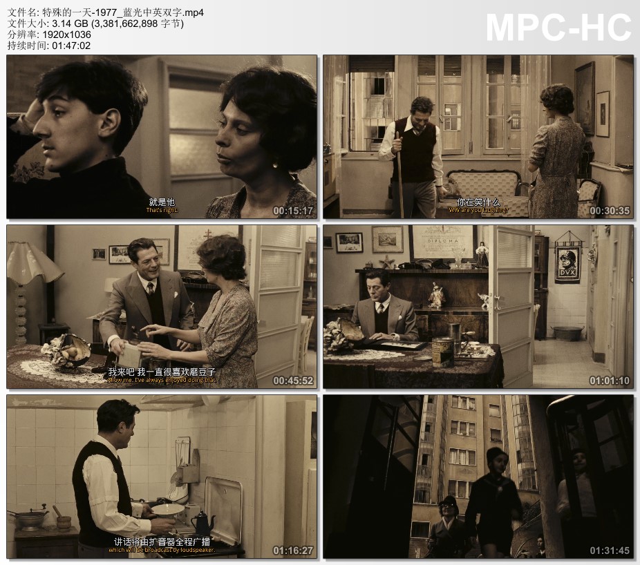1977年意大利经典剧情片《特殊的一天》 蓝光中英双字