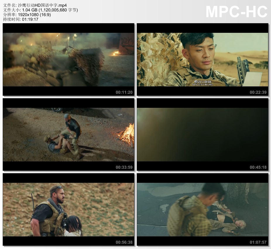 2021年国产动作片《沙鹰行动》HD国语中字