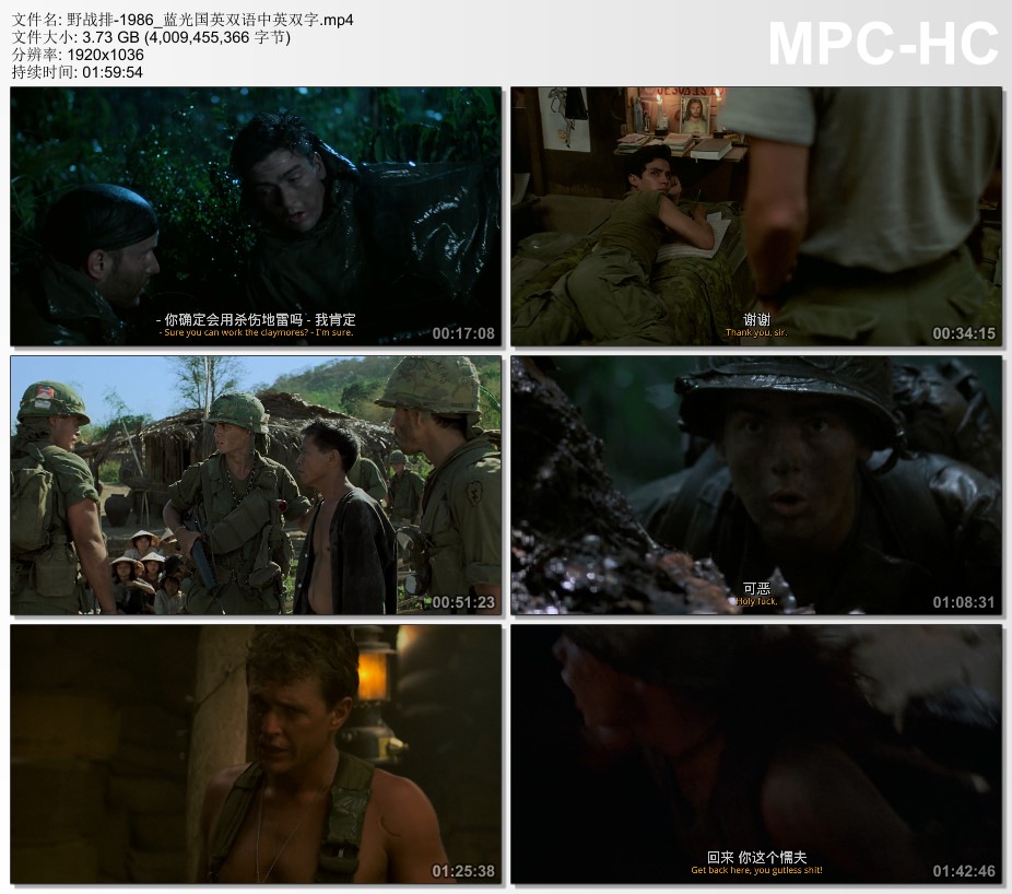1986年美国经典动作片《野战排》蓝光国英双语中英双字