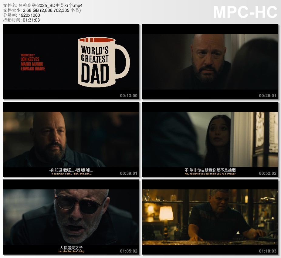 2025年美国电影《黑枪高举》BD中英双字