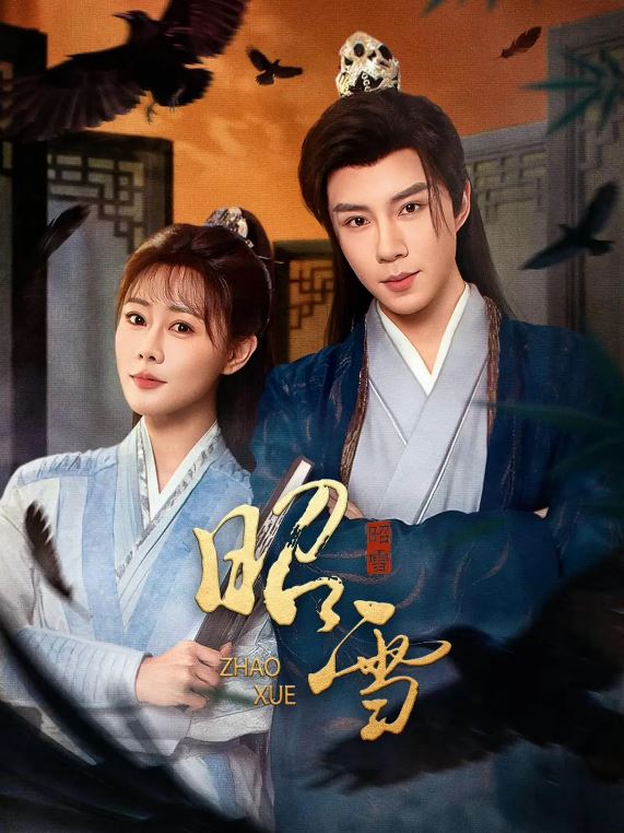 2026年国产电视剧《昭雪》 连载至第12集