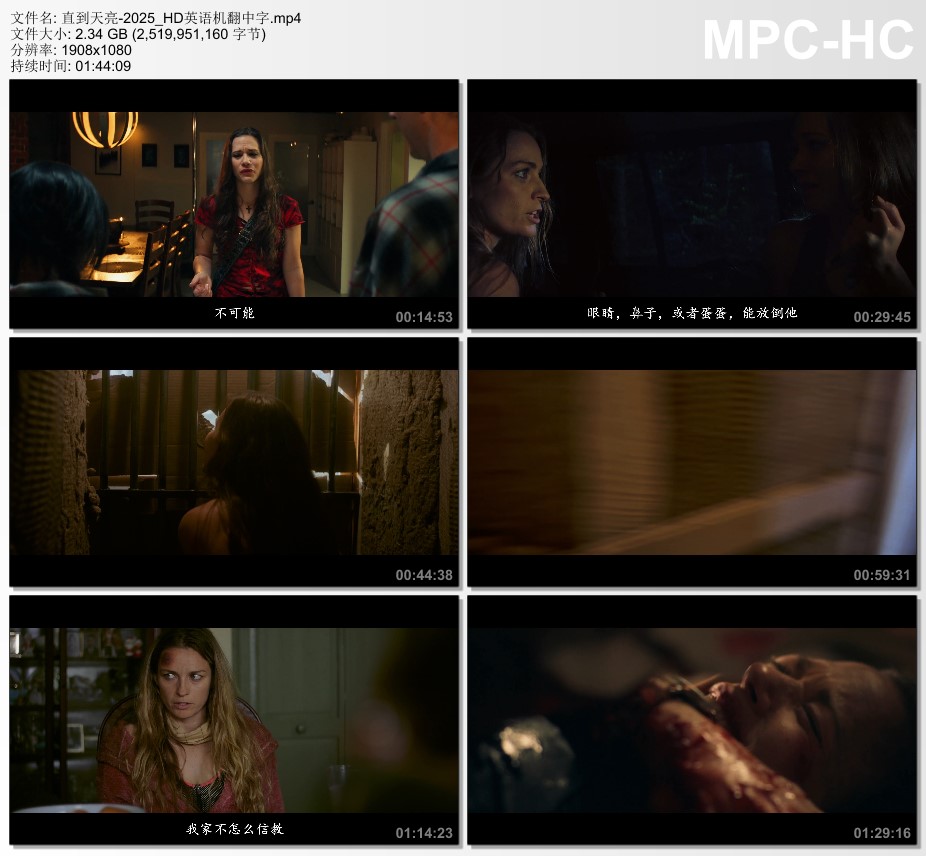 2025年美国电影《直到天亮》HD英语机翻中字