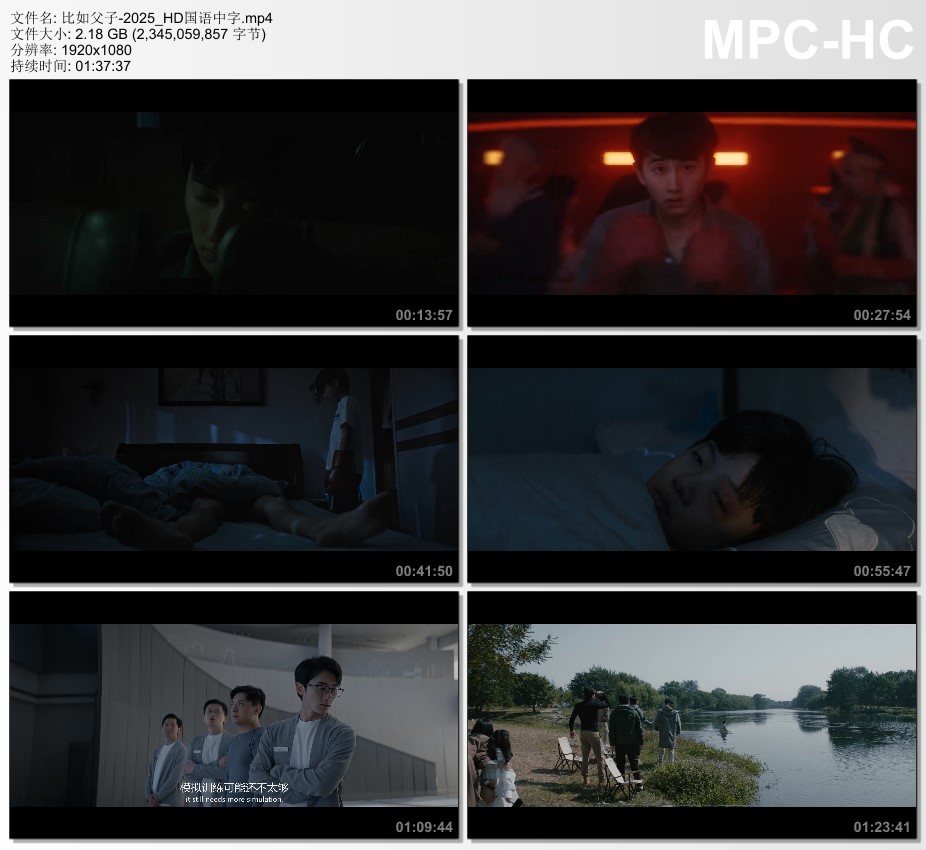 2025年国产电影《比如父子》HD国语中字