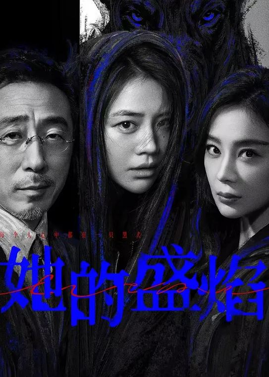 2026年国产电视剧《她的盛焰》 连载至第12集