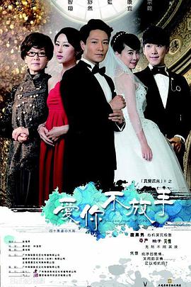 2013年国产电视剧《爱你不放手》 全第01集