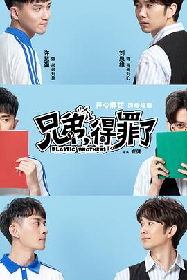 2020年大陆电视剧《兄弟,得罪了》 全第30集