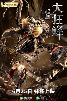 2020年大陆电影《大狂蜂：起源》原片