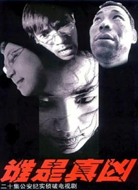 2005年大陆电视剧《谁是真凶》 连载至第13集