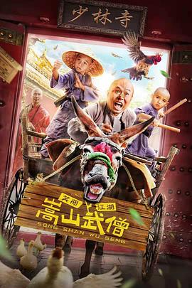 2020年大陆电影《嵩山武僧》正片