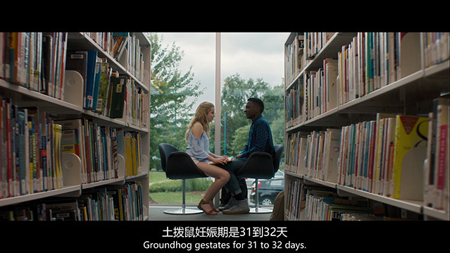 [每一天][BD-720P/1080P-MP4][英语中字][豆瓣6.4分][1.13GB/2.39GB][2018]