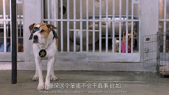 [萌犬好声音3][HD-1080P/2160P-MKV][国英双语中字][1.94GB/3.75GB][2018]