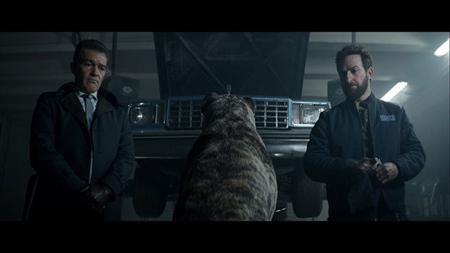 [释放][BD-720P/1080P-MP4][法英双语中字][豆瓣5.9分][1.4GB/3.08GB][2017]