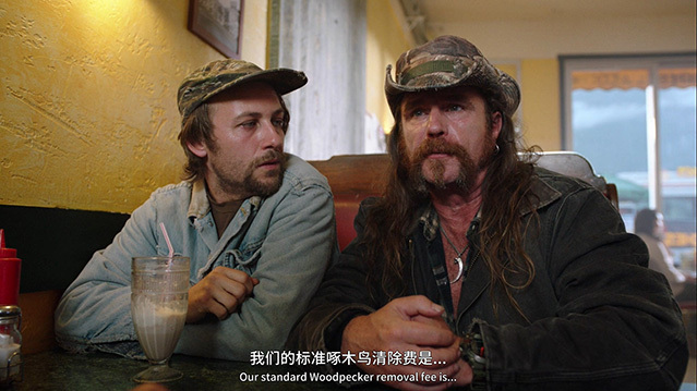 [啄木鸟伍迪大电影][BD-720P/1080P-MP4][英语中字][2.89GB/5.9GB][2017]