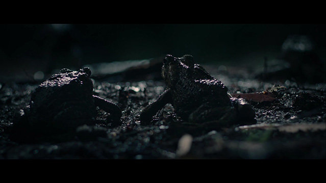 [淘气小女巫][HD-720P/1080P-MP4][德语中字][1.91GB/3.58GB][2018]