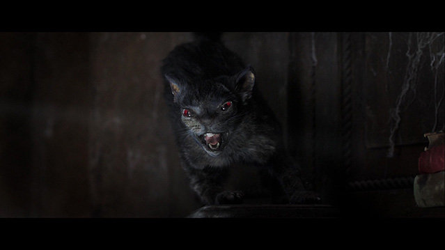 [鸡皮疙瘩2：闹鬼万圣节][BD-720P/1080P-MP4][英语中字][豆瓣5.3分][1.51GB/3.27GB][2018]