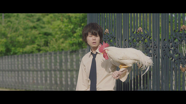 [邻座的怪同学][BD-720P/1080P-MP4][日语中字][豆瓣7.7分][1.75GB/3.74GB][2018]